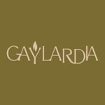gay-2
