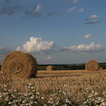 polden2013
