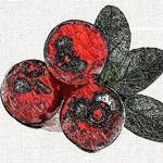 Natalia Knitberry - Livemaster - handmade