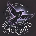 trajectory-black-bird