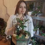 sladostvradost-1