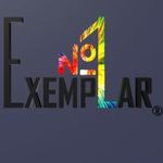 Ekzemplyar №1 (Exemplar№1) (Exemplar1) - Livemaster - handmade