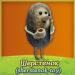 sherstenok-toy