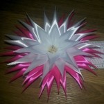 Ekaterina (lentochkakati) - Livemaster - handmade