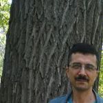 slavakvitko
