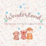solnechnaya-romashka