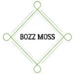 BOZZ MOSS - Livemaster - handmade