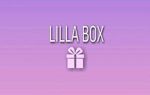 Lilla_box - Livemaster - handmade