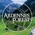 Masterskaya "Ardennskij les" - Livemaster - handmade