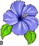 rauni-rauni