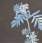peonystudio