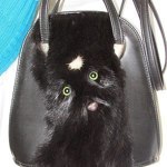 Teplye Shtuchki dlya Dushi i dlya Tela - Livemaster - handmade