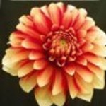 Ninel - Livemaster - handmade
