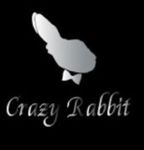 Crazy Rabbit - Livemaster - handmade