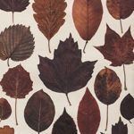 Masterbotanic - Livemaster - handmade
