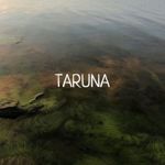 TARUNA - Livemaster - handmade