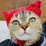 Ксения