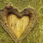 madewithl0ve