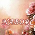naborcy