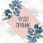 darya01