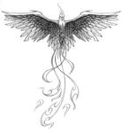 fenix728