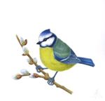 littlebirdart