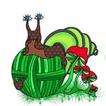tortodel