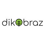 Dikobraz. Творческая мастерская