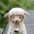 oniwool - Livemaster - handmade