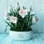 Larisa Churikova LoraChe (Lorache) - Livemaster - handmade