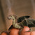 Dragon (SunDragon) - Ярмарка Мастеров - ручная работа, handmade