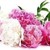 FlowerArtClub - Ярмарка Мастеров - ручная работа, handmade
