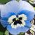 Alpensee art-tekstil (Anna) - Livemaster - handmade