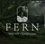 Elena-fern - Livemaster - handmade