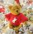 Valentina Belova - Livemaster - handmade