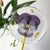 ღ Zhenechkiny ledentsy ღ (finogen4ik) - Livemaster - handmade