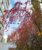 Nadezhda - Livemaster - handmade