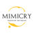 MIMICRY Studio - Livemaster - handmade