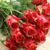 Lyubov - Livemaster - handmade