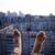 Anastasia Chernikova - Livemaster - handmade