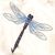 Dragonfly (Natalya) - Ярмарка Мастеров - ручная работа, handmade