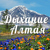 Dyhanie Altaya (dykhanie-altaya) - Livemaster - handmade