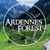 Masterskaya "Ardennskij les" - Livemaster - handmade