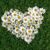 Nataliya - Livemaster - handmade