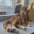 Natali_Mak - Livemaster - handmade