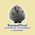 Materialy dlya valyaniya i pryadeniya (BarnaulWool) - Livemaster - handmade