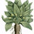 Travnitsa (magic-herbs) - Livemaster - handmade